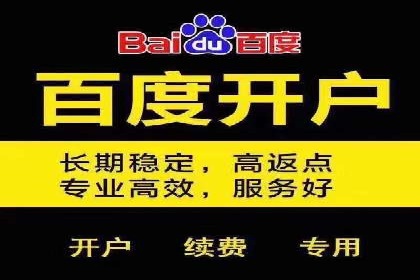 竞价广告的投放技巧与网络推广的实践